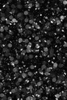 Real falling snow on a black background