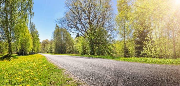 Asphalt road panorama in countryside on sunny day in summer. Route with white dividing lines in beautiful nature landscape.