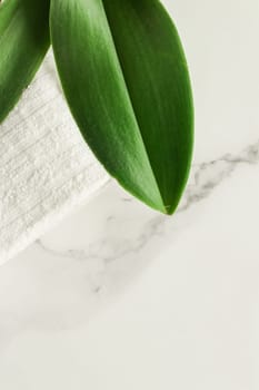 Skin cream and beauty flower