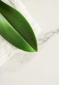 Skin cream and beauty flower