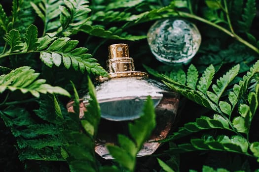 Skin cream and beauty flower