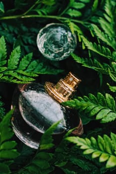 Skin cream and beauty flower
