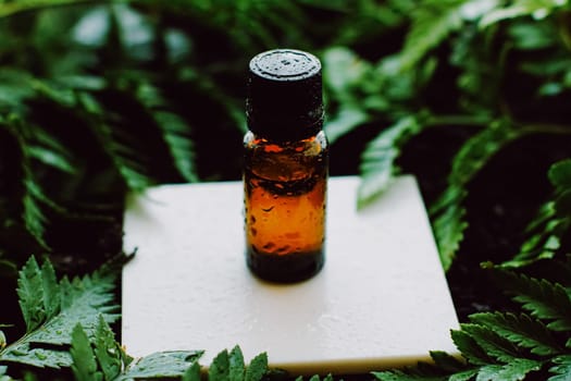Skin cream and beauty flower
