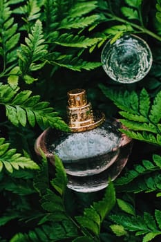 Skin cream and beauty flower