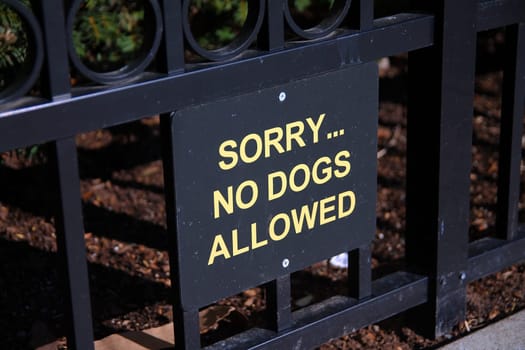Sorry... no dogs allowed black and yellow sign on a fence of a garden on a sunny day