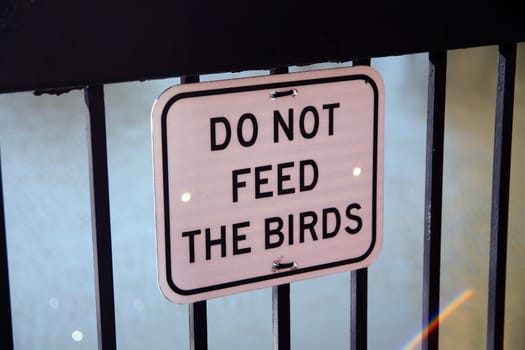 Do not feed the birds, white sign hanged on a black grid on a river walkaway