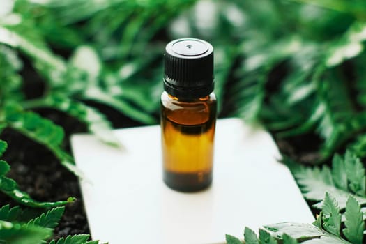 Skin cream and beauty flower