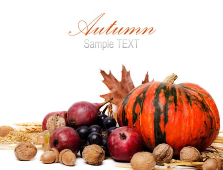 Autumn concept with seasonal fruits and vagetables