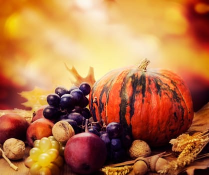 Autumn concept with seasonal fruits and vagetables