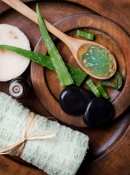 Spa concept with aloe vera