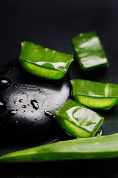 Aloe Vera over black background