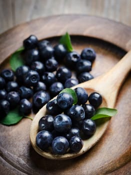 Fresh blueberries in wooden spoon