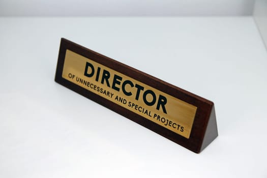 Director of unnecessary and special projects wood and metal sign on a white shelf in office life