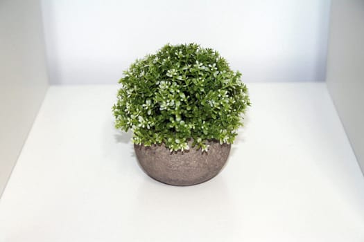 A green isolated artificial plant with flowers and a grey vase on a white shelf