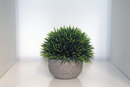 A green isolated artificial plant with a grey vase on a white shelf