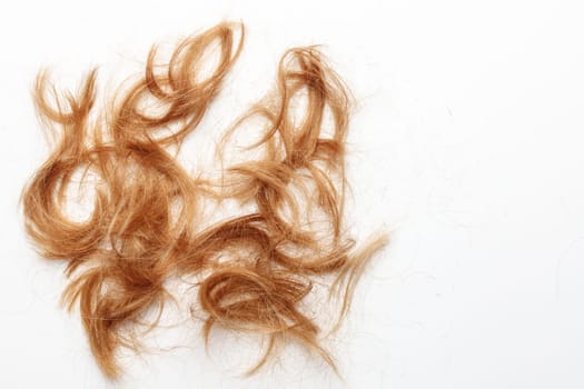 Very disheveled black hair isolated on white background. Bad hair day clipart. Back view.