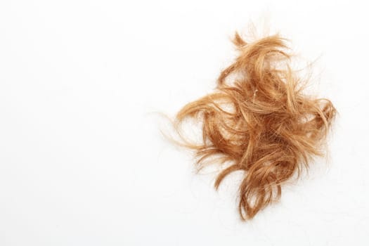 Very disheveled black hair isolated on white background. Bad hair day clipart. Back view.