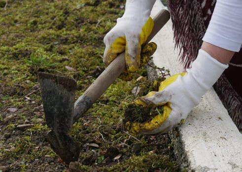 a close up of woman hands gardening