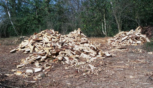 a stack of wood in the countryside