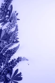 Background with flowers and leafs colored in trendy violet color