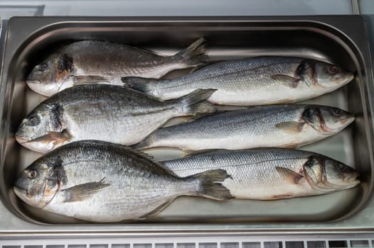 Fresh raw dorado and sea bass fish in the supermarket