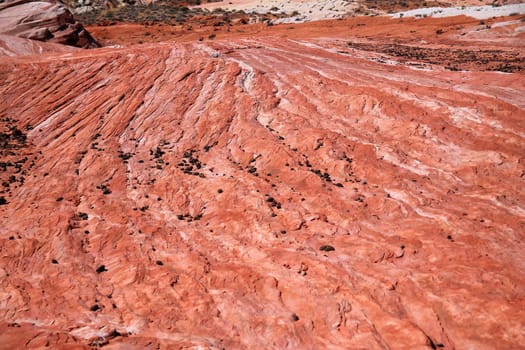 The red and white waves on the eroded field in the Valley of Fire State Park in Nevada