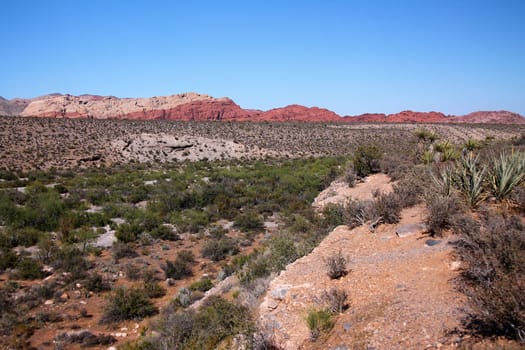 Red Rock Canyon desert in the Las Vegas valley in Nevada under a clear blue sky