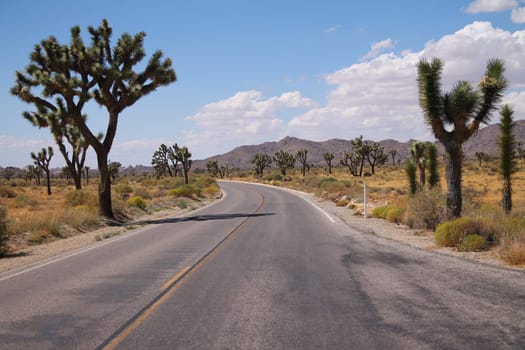 The dust of the road crossing the Joshua Tree National Park in California