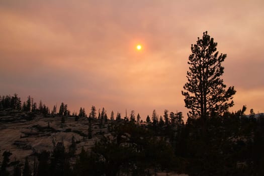 The red sun behind the fog and the ash during a wilde fire in the Yosemite National Park in California