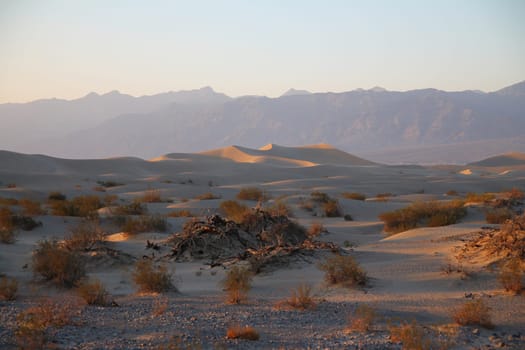 Mesquite Flat Dunes with the mountains on the back in the Death Valley desert during sunset, in California