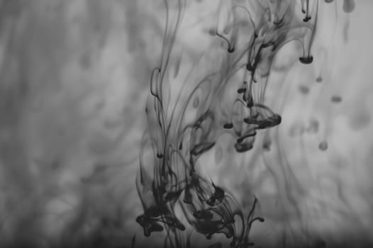 Ink in the water abstract background. splashes of paint swirling in liquid. black and white