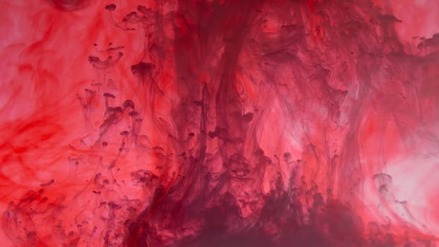 Paint in the water. ink in fluid. abstract background. colorful splashes in liquid. red and blue colors
