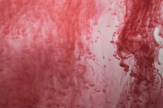 Red ink in the water abstract background. splashes of paint in liquid