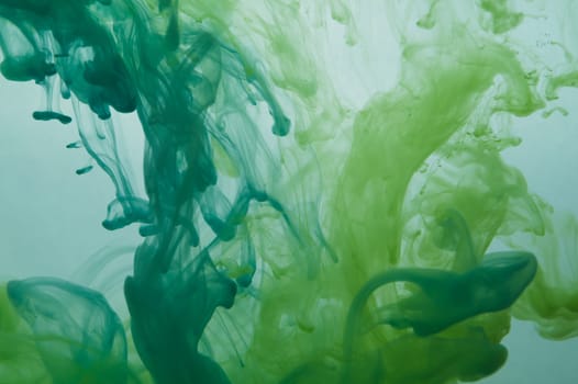 Green paint in the water. ink in fluid. colorful splashes in liquid. abstract background