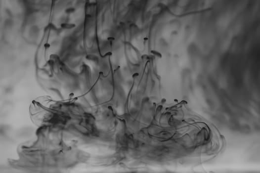 Ink in the water abstract background. splashes of paint swirling in liquid. black and white
