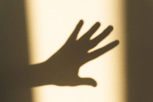 Shadow of hand showing gesture on the wall close up