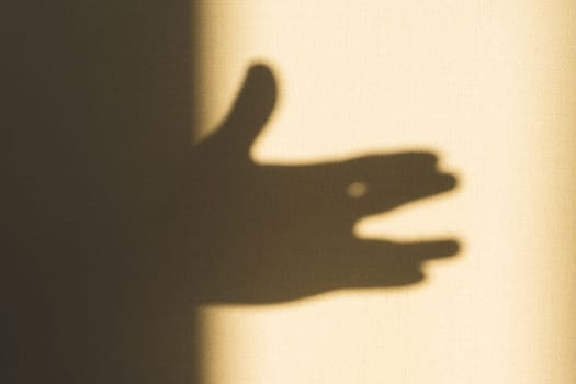 Shadow of hand showing gesture on the wall close up