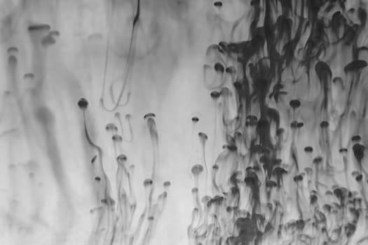 Ink in the water abstract background. splashes of paint swirling in liquid. black and white