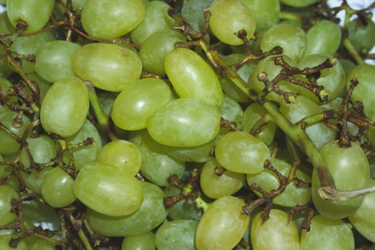 Bunch of the green grapes