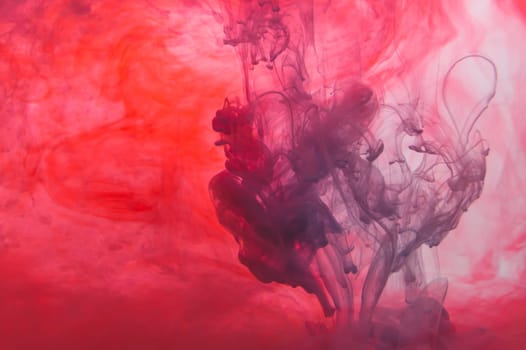 Paint in the water. ink in fluid. abstract background. colorful splashes in liquid. red and blue colors