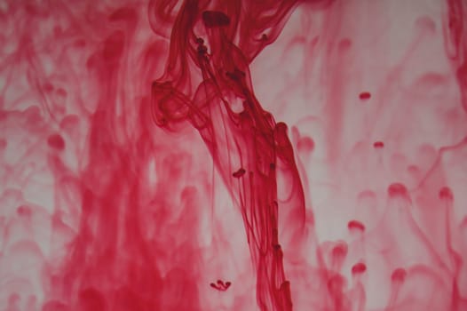 Red ink in the water abstract background. splashes of paint in liquid