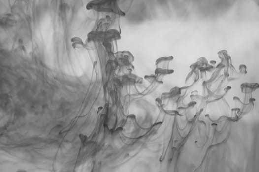 Ink in the water abstract background. splashes of paint swirling in liquid. black and white