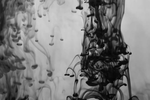 Ink in the water abstract background. splashes of paint swirling in liquid. black and white