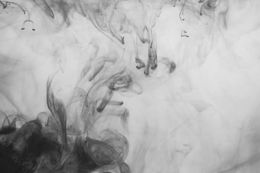 Ink in the water abstract background. splashes of paint swirling in liquid. black and white
