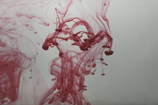 Red ink in the water abstract background. splashes of paint in liquid