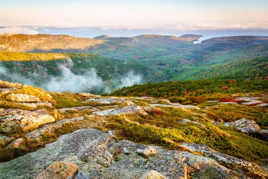 fog in rising from the forest below as seen from the top of Cadillac Mountain in Acadia National Park