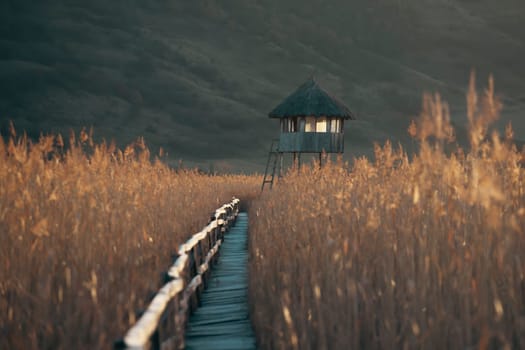 Old wooden boardwalk with a railing on the side and watchtower in the Sic reed reservation, Cluj , Romania