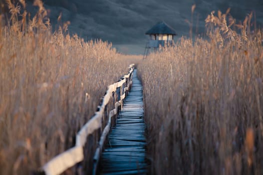 Old wooden boardwalk with a railing on the side and watchtower in the Sic reed reservation, Cluj , Romania