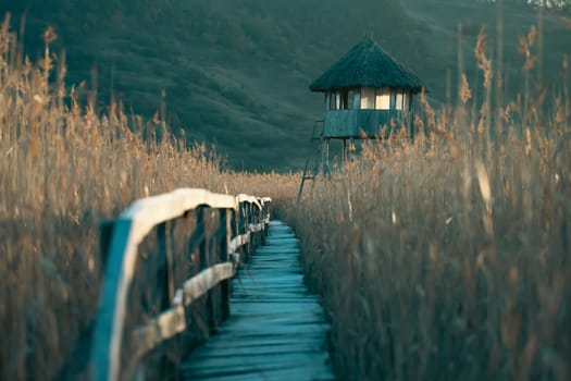 Old wooden boardwalk with a railing on the side and watchtower in the Sic reed reservation, Cluj , Romania