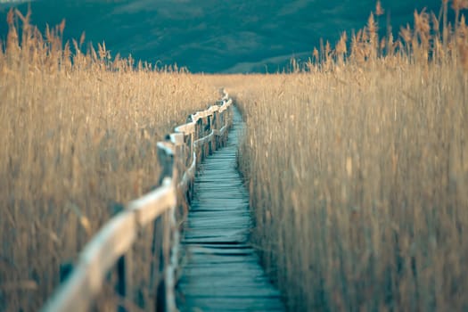 Old wooden boardwalk with a railing on the side and watchtower in the Sic reed reservation, Cluj , Romania